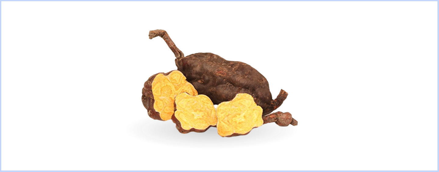 SHOUWU ginseng root tuber